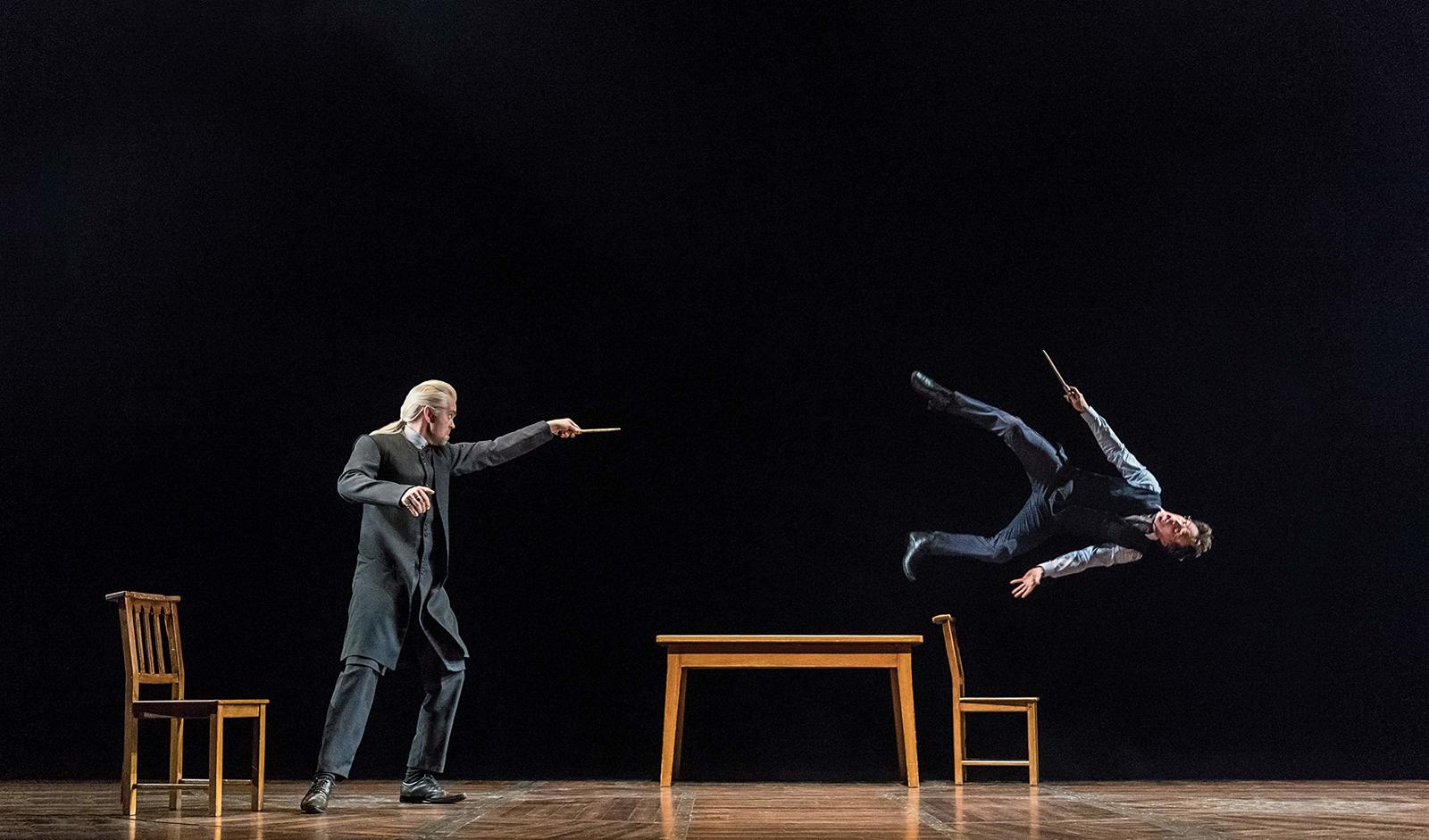 Harry Potter and the Cursed Child: The Journey by Harry Potter Theatrical Productions image