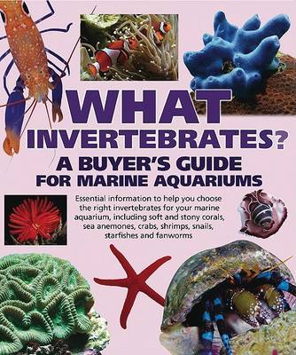 What Invertebrates? by Tristan Lougher