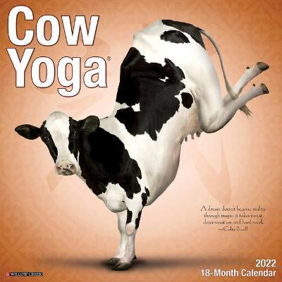 2022 Cow Calendar September Cow Yoga 2022 Wall Calendar | Willow Creek Press Book | In-Stock - Buy Now  | At Mighty Ape Nz