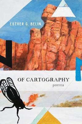 Of Cartography by Esther G Belin image