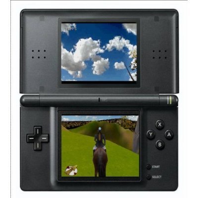 Real Adventures: Wild Horses on DS