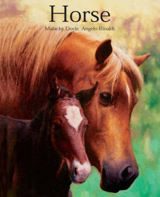 Horse by Malachy Doyle image