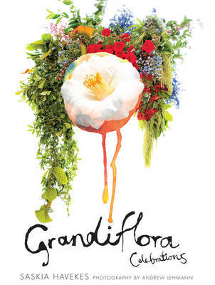 Grandiflora Celebration by H & Lehmann, A Saskia image