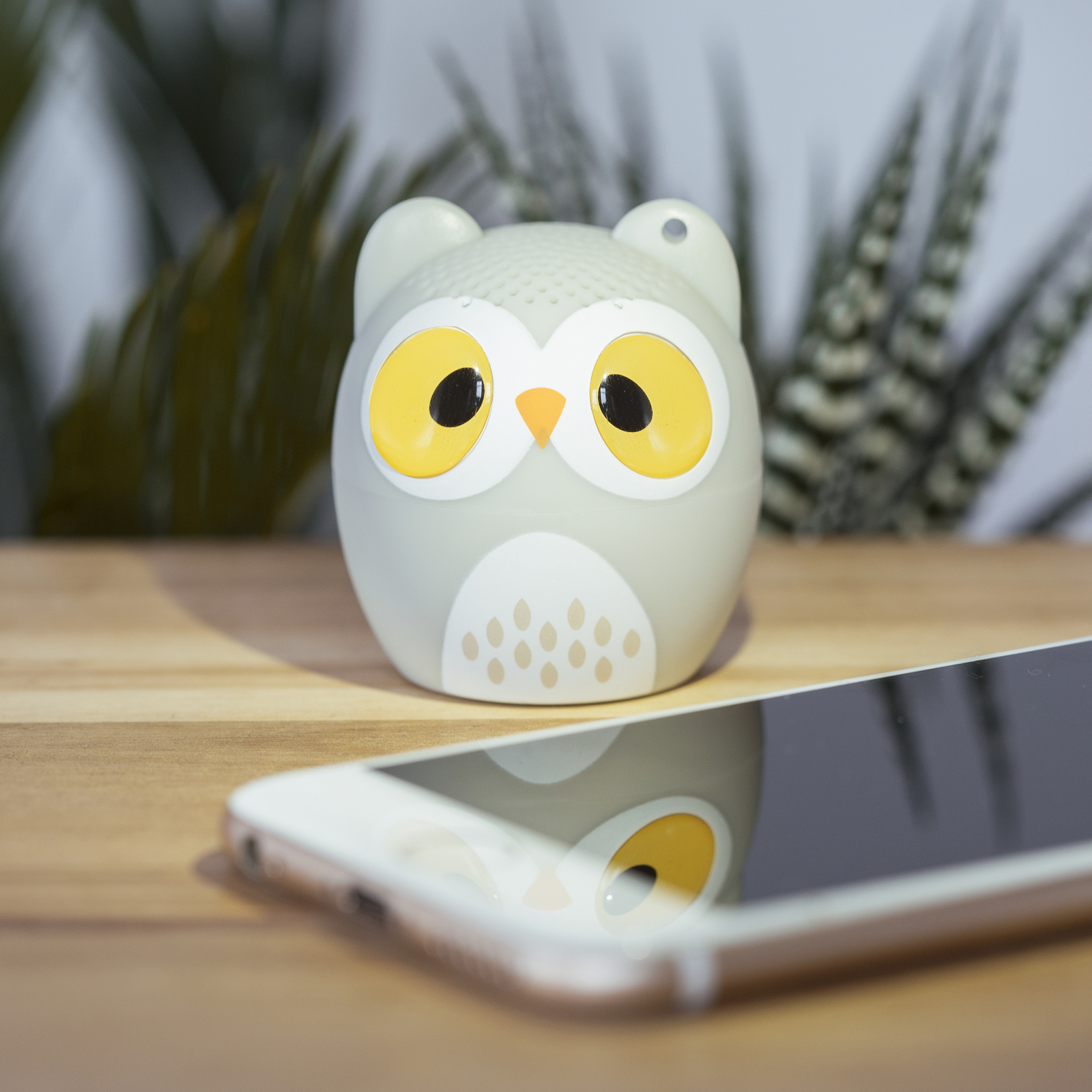 Owl Speaker image