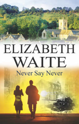 Never Say Never by Elizabeth Waite image