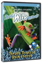 National Geographic - Really Wild Animals - Tropical Rainforest on DVD National Geographic - Really Wild Animals - Tropical Rainforest on DVD