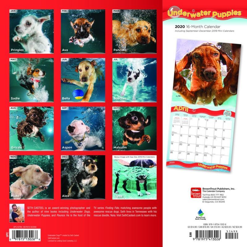 Underwater Puppies 2020 Square Wall Calendar image