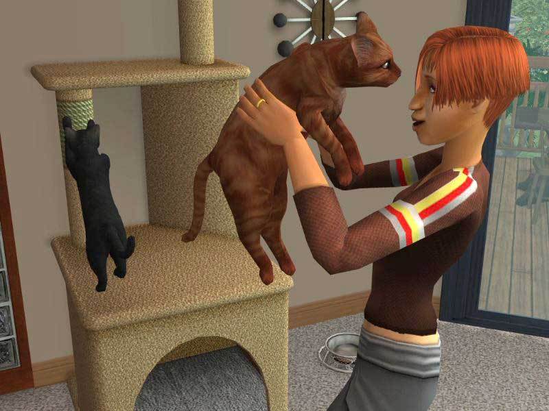 The Sims 2: Pets Expansion Pack DVD for PC Games image
