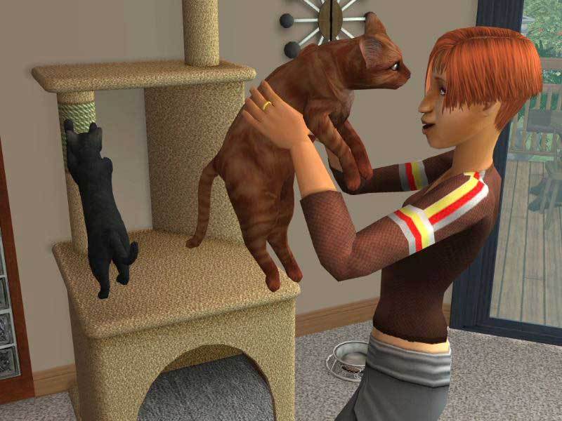 The Sims 2: Pets Expansion Pack DVD image