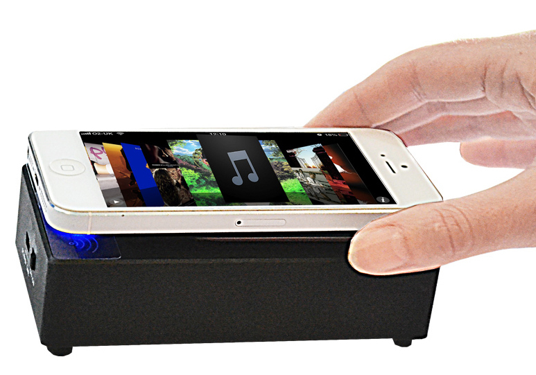 Induction Speaker Small at Mighty Ape NZ