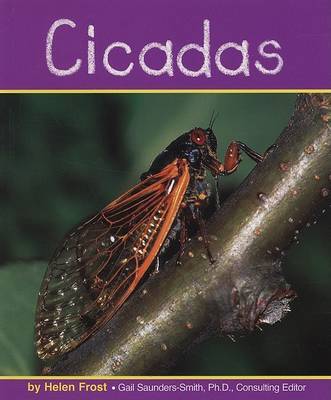 Cicadas by Helen Frost image