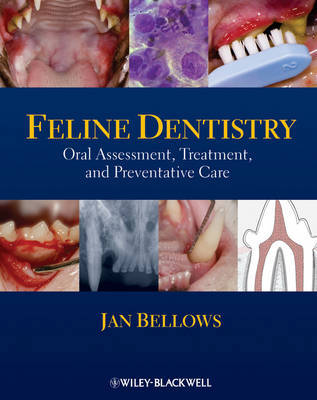 Feline Dentistry by Jan Bellows image