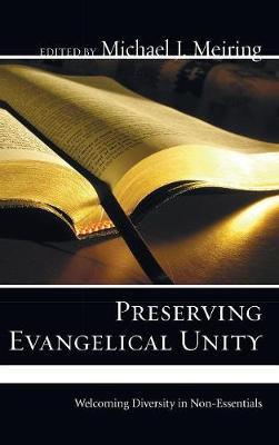 Preserving Evangelical Unity image