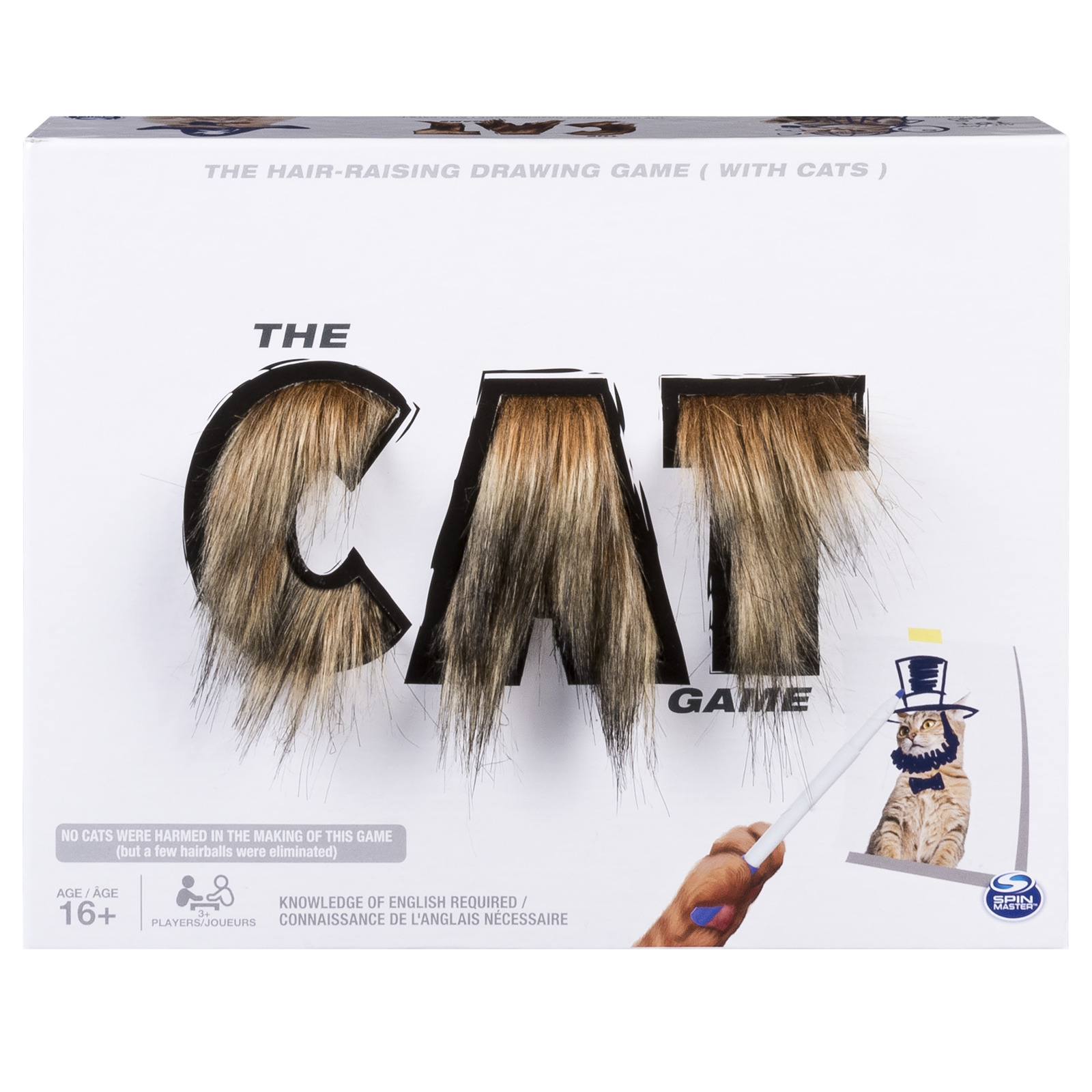 The Cat Game image