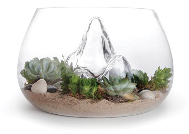 Glasscape Fish Bowl Terrarium at Mighty Ape NZ