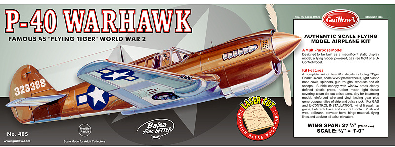 P40 Warhawk 1:16 Laser Cut Balsa Model Kit image