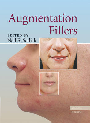 Augmentation Fillers image