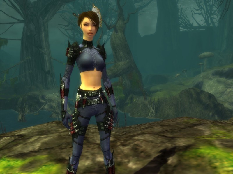 Guild Wars: Factions Collector's Edition for PC Games image