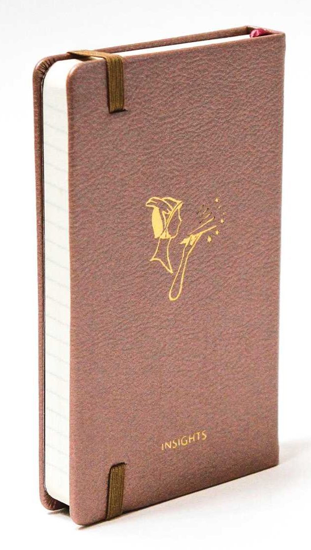 Fantastic Beasts and Where to Find Them: Obliviate Hardcover Ruled Journal by Insight Editions image