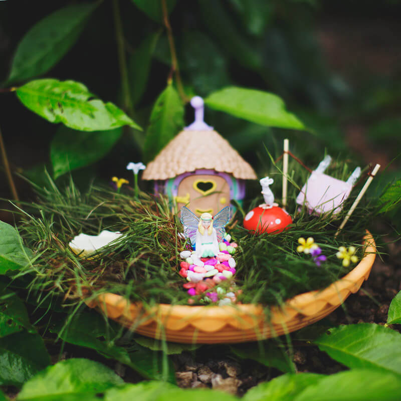 My Fairy Garden - Fairy Garden image