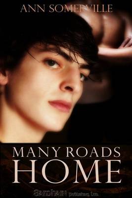 Many Roads Home by Ann Somerville image