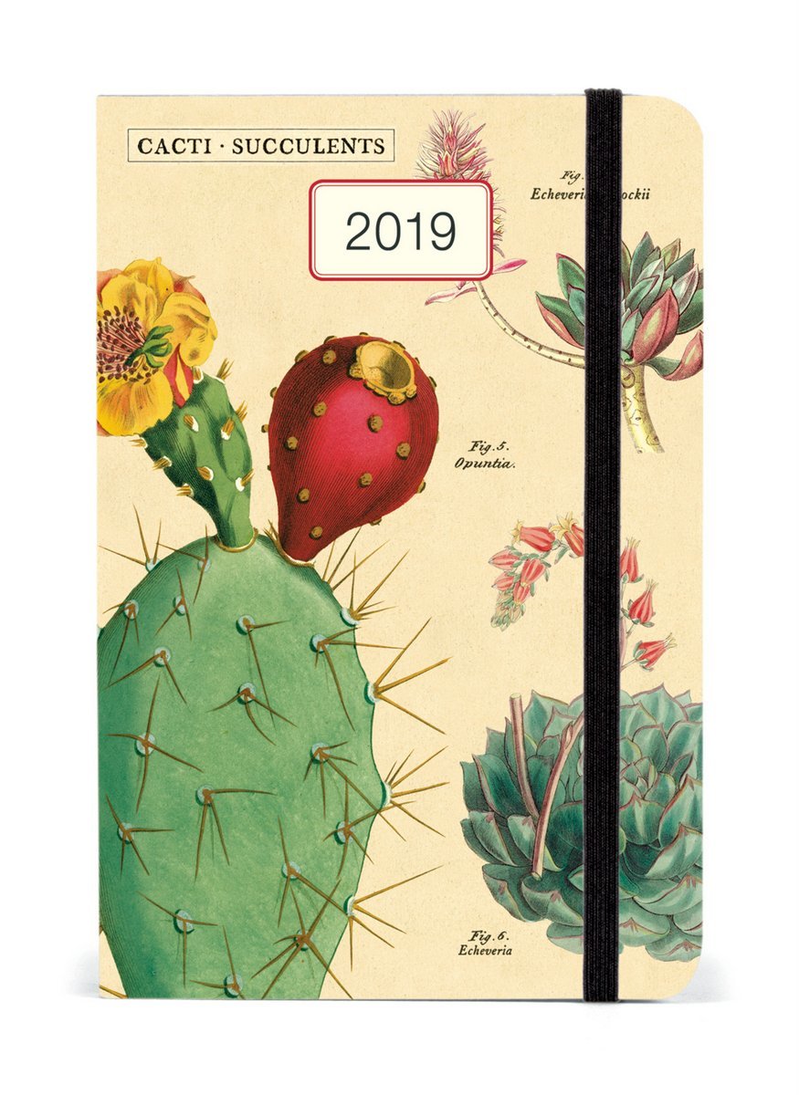 Succulents 2019 A6 Weekly Diary image