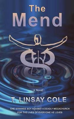 The Mend by T Linsay Cole image
