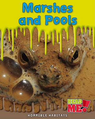 Marshes and Pools by Sharon Katz Cooper image