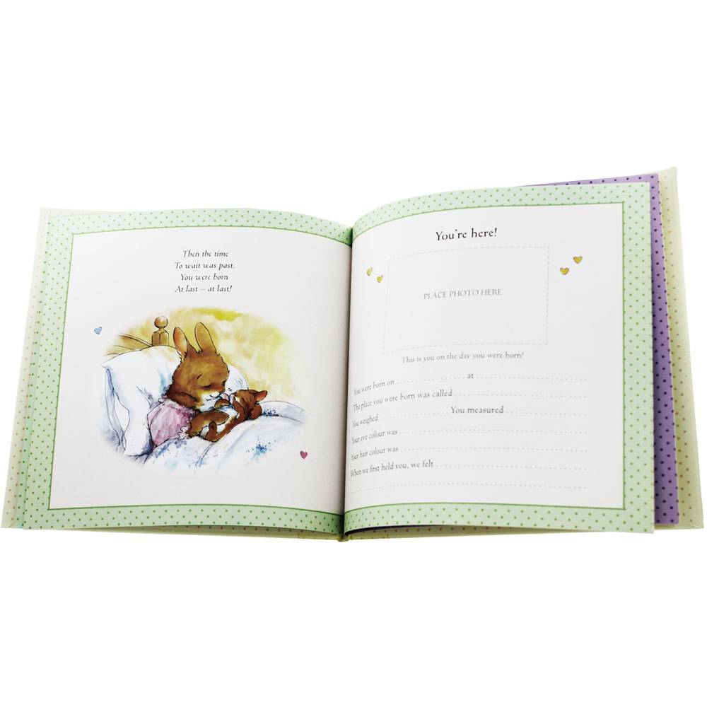 When the World Was Waiting for You Baby Book by Gillian Shields image