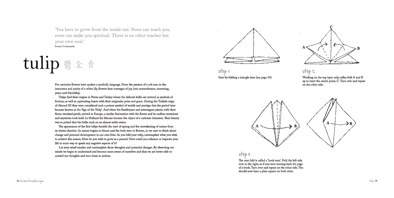 The Book of Mindful Origami by Samuel Tsang image