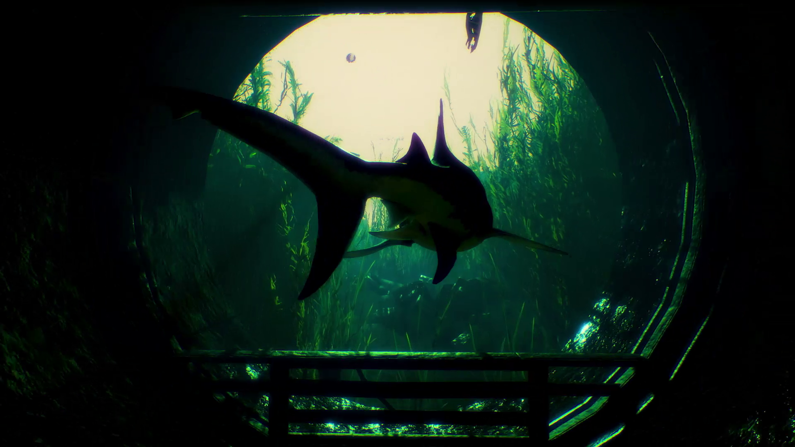 Maneater Day One Edition for Xbox One image