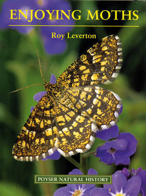Enjoying Moths by Roy Leverton image