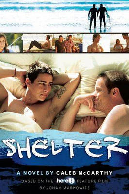 Shelter by Patrick Ryan image