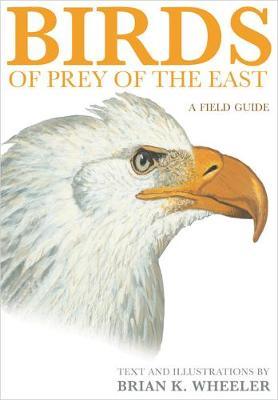 Birds of Prey of the East by Brian K. Wheeler image