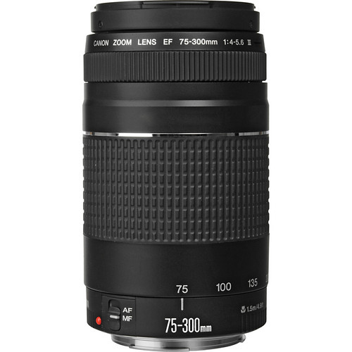 Canon EF 75-300mm f/4-5.6 III Telephoto Zoom DSLR Lens image