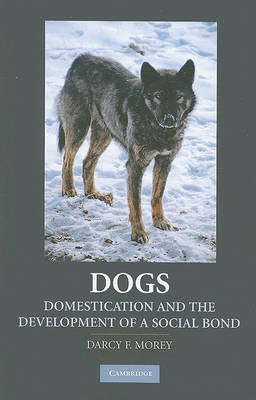 Dogs by Darcy F. Morey image