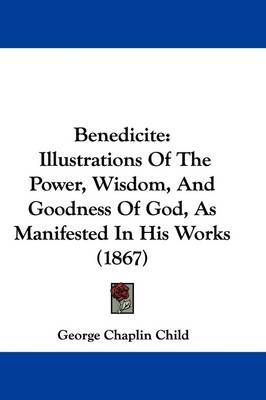 Benedicite: Illustrations Of The Power, Wisdom, And Goodness Of God, As Manifested In His Works (1867) by George Chaplin Child image