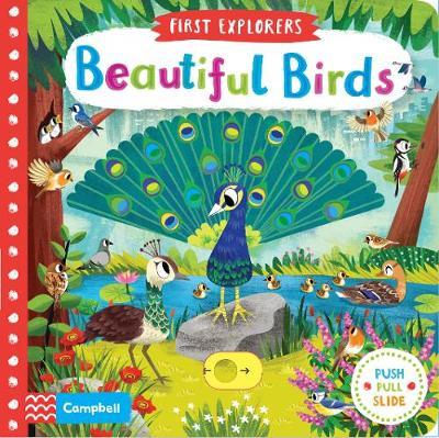 Beautiful Birds by Campbell Books image