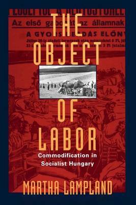 The Object of Labor by Martha Lampland image