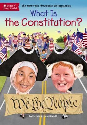 What Is the Constitution? by Patricia Brennan Demuth image