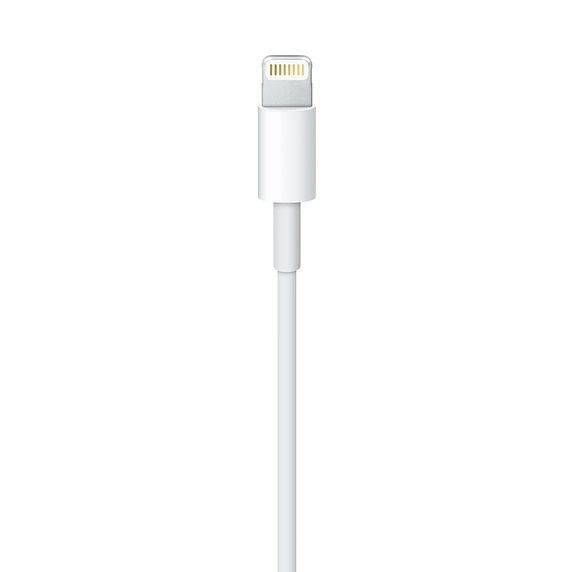 Apple Lightning to USB Cable - 1m image