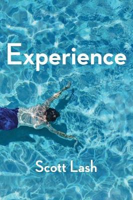 Experience by Scott Lash image