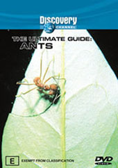 Ultimate Guide - Ants on DVD