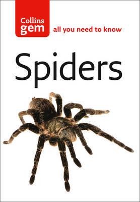 Spiders by Paul Hillyard