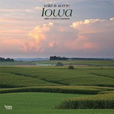 Iowa Wild & Scenic 2019 Square by Inc Browntrout Publishers image