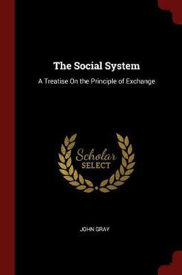 The Social System by John Gray image