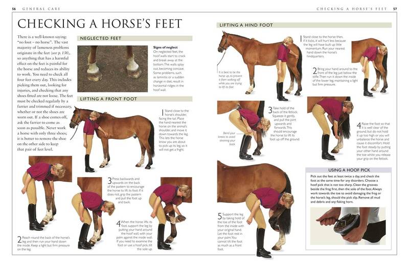 Complete Horse Care Manual by Colin Vogel image