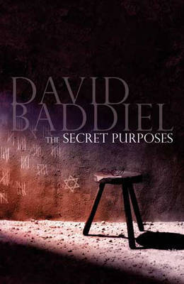 The Secret Purposes on Hardback by David Baddiel