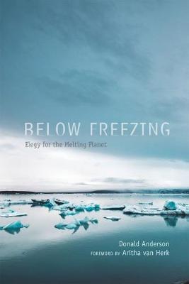 Below Freezing by Donald Anderson image