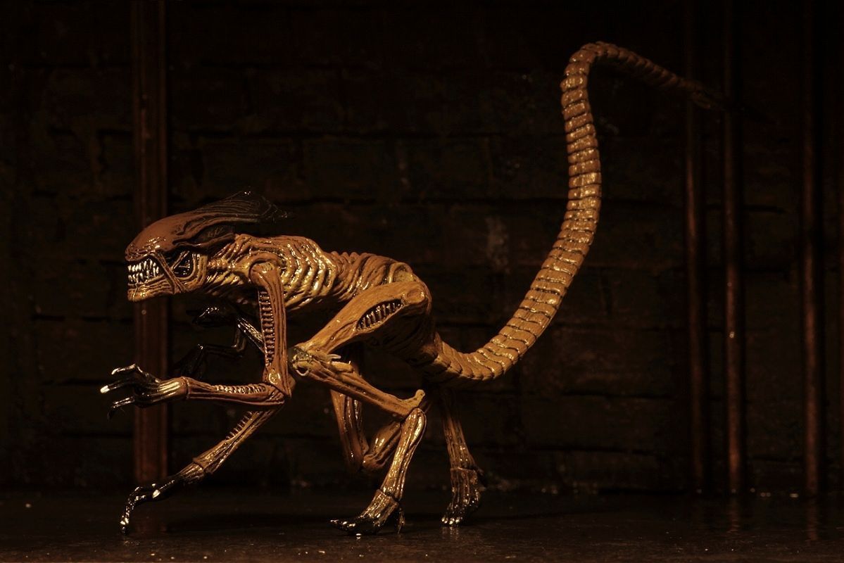 Alien 7-inch Action Figure Series: Alien 3 Creature Pack - Action Figure image